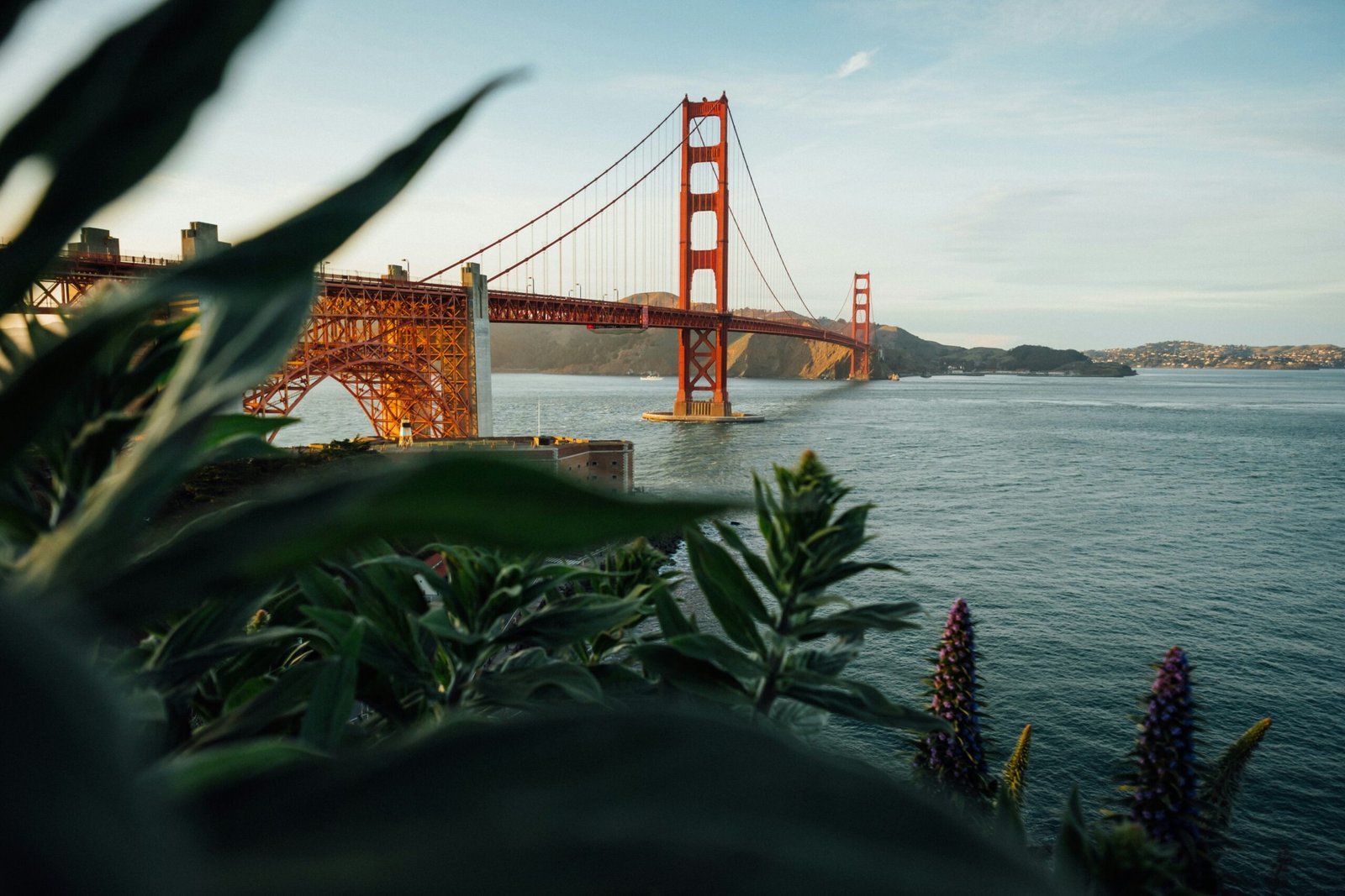 How AI Startups in San Francisco Compete with Big Tech for Talent